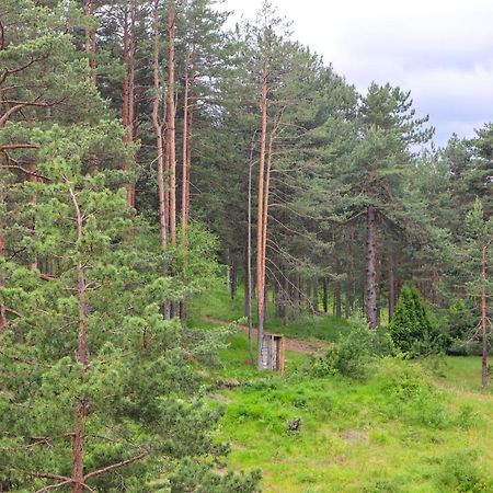 Zlatibor Holiday, Vila Leonardo VI Zewnętrze zdjęcie