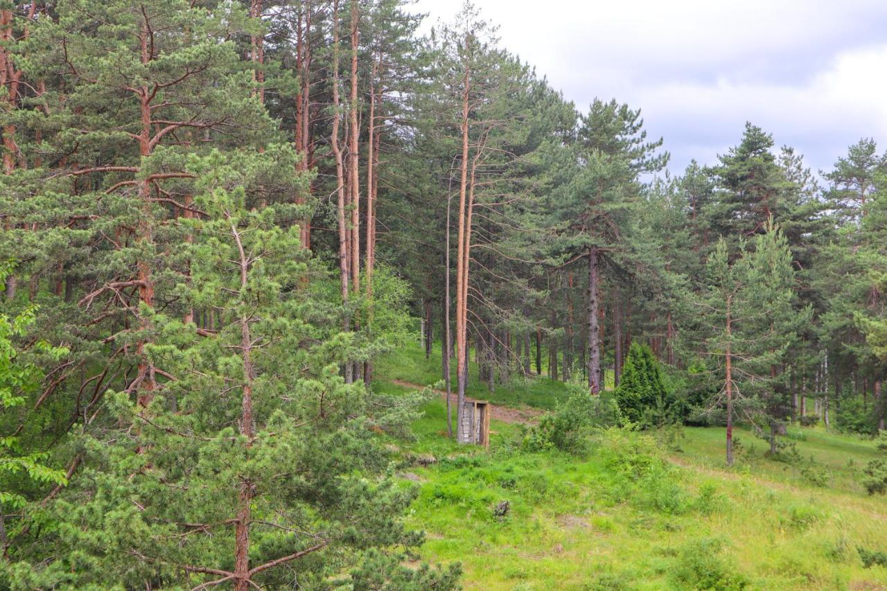 Zlatibor Holiday, Vila Leonardo VI Zewnętrze zdjęcie