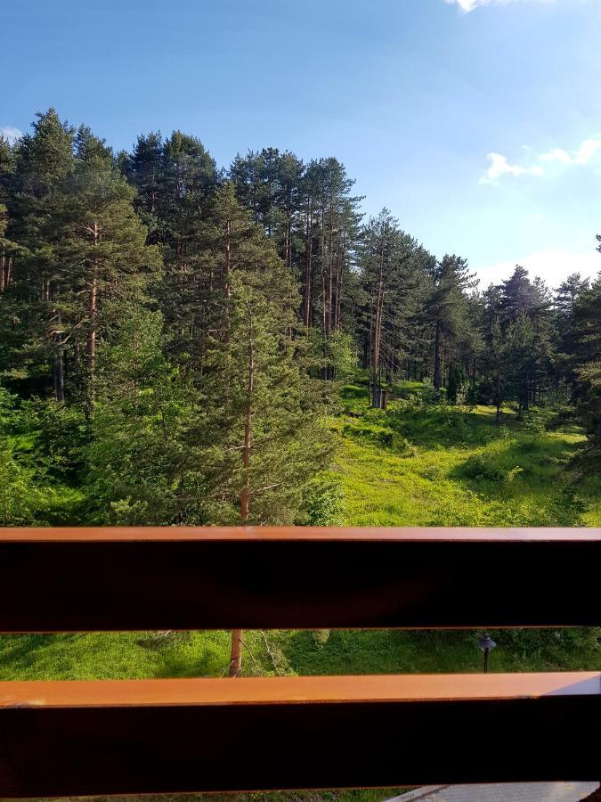 Zlatibor Holiday, Vila Leonardo VI Zewnętrze zdjęcie
